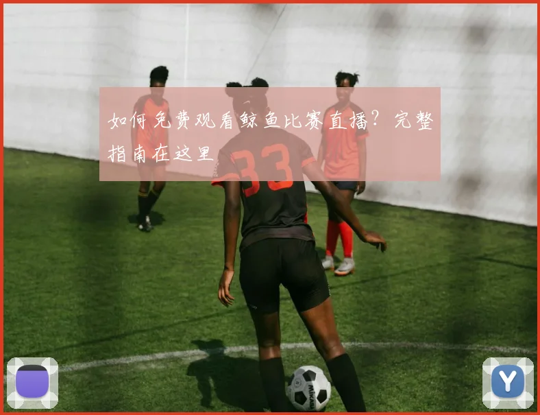 如何免费观看鲸鱼比赛直播？完整指南在这里